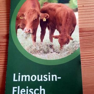 Limousin-Flyer